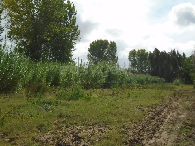 Terreno para Venda em Valado dos Frades Foto 18