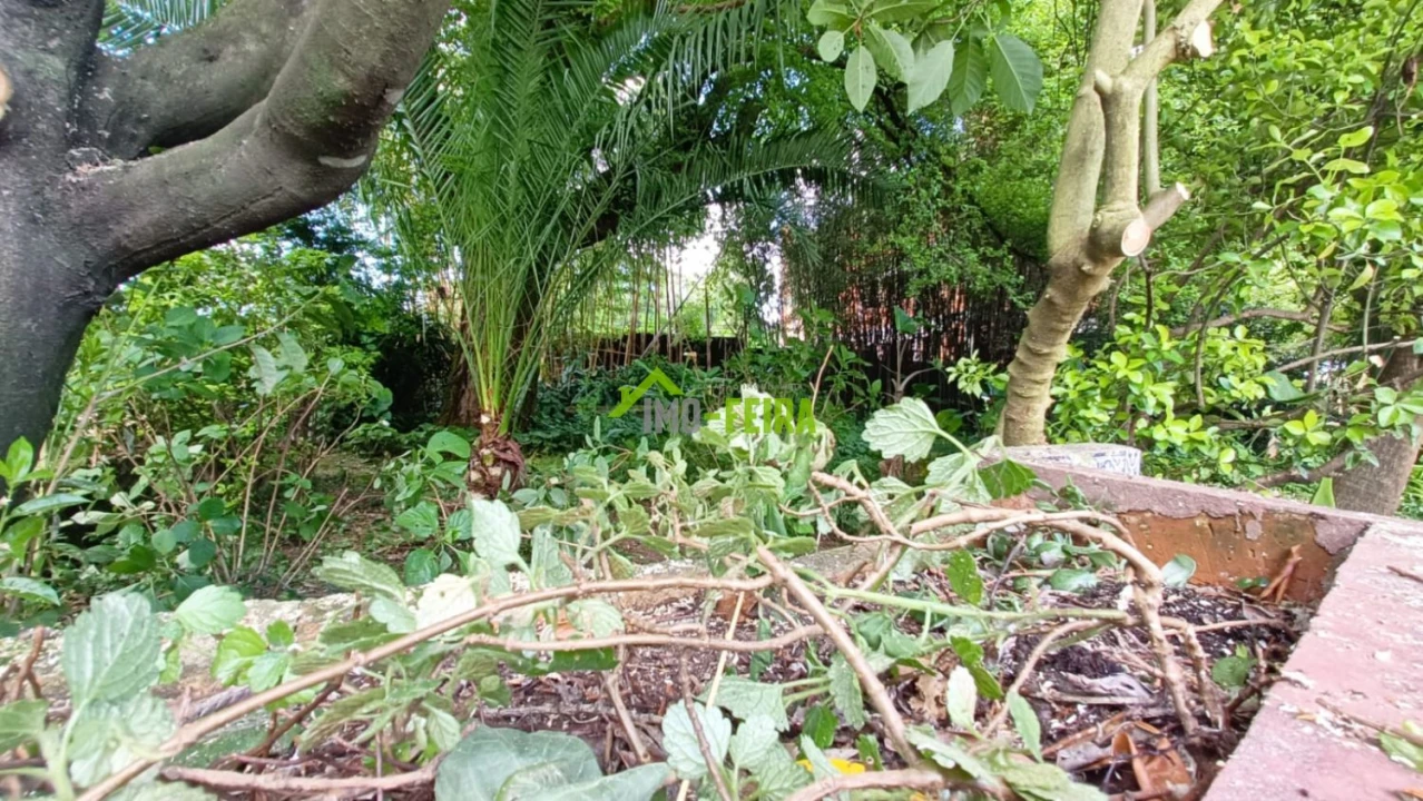 Quinta T6 para Venda em São João da Madeira Foto 45