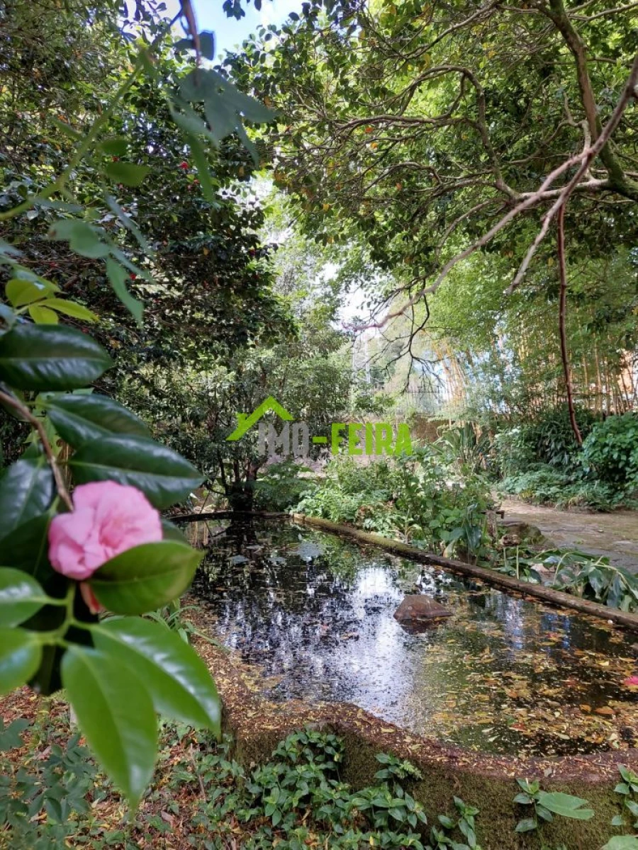Quinta T6 para Venda em São João da Madeira Foto 13