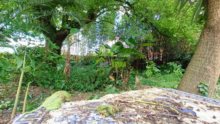 Quinta T6 para Venda em São João da Madeira Foto 48