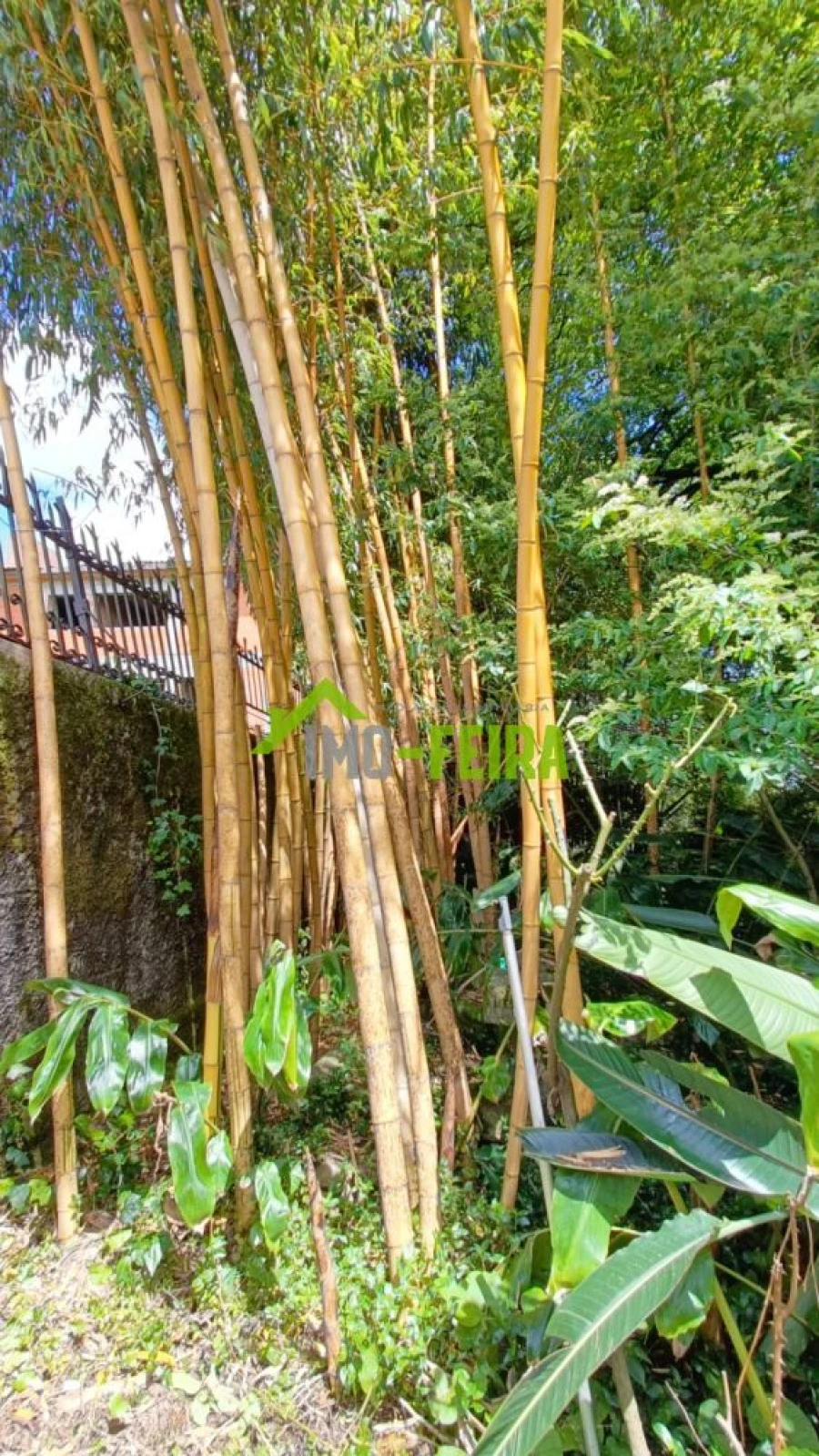 Quinta T6 para Venda em São João da Madeira Foto 54