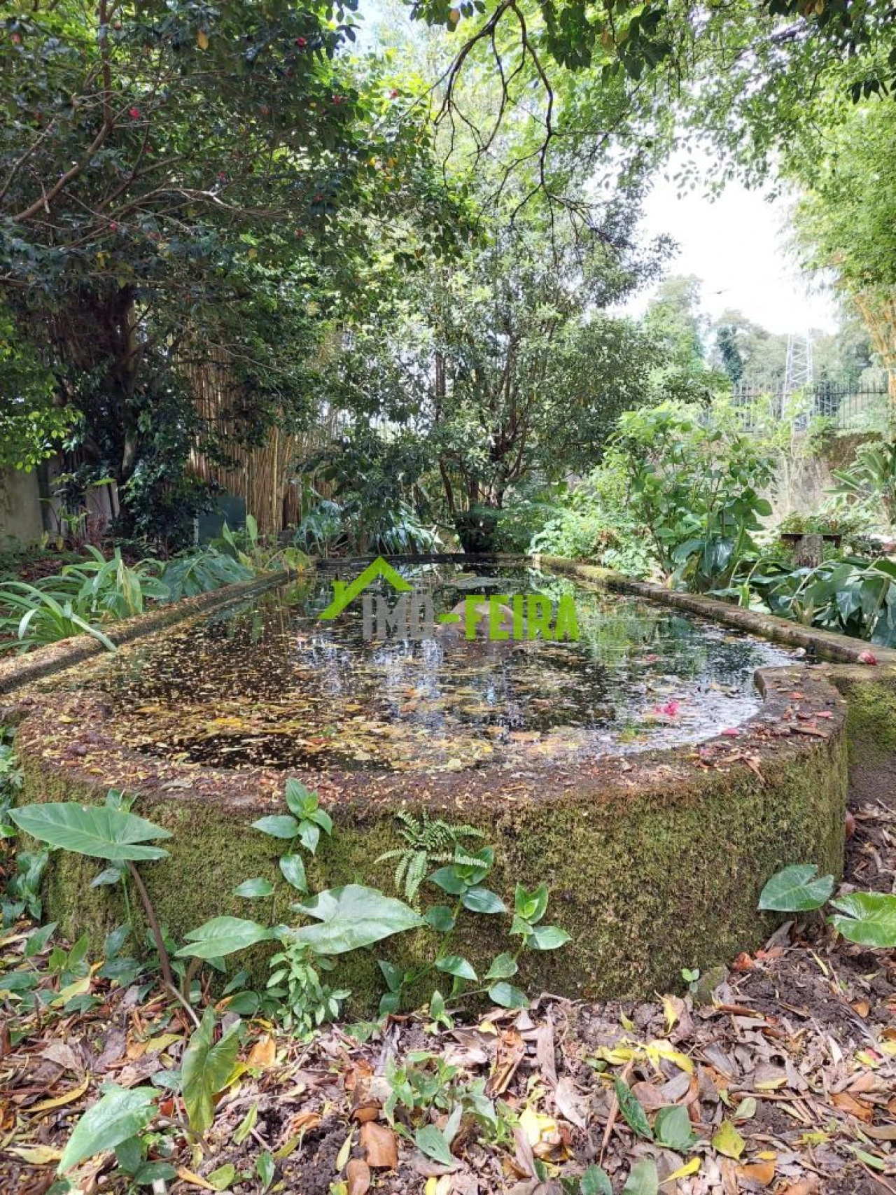 Quinta T6 para Venda em São João da Madeira Foto 44