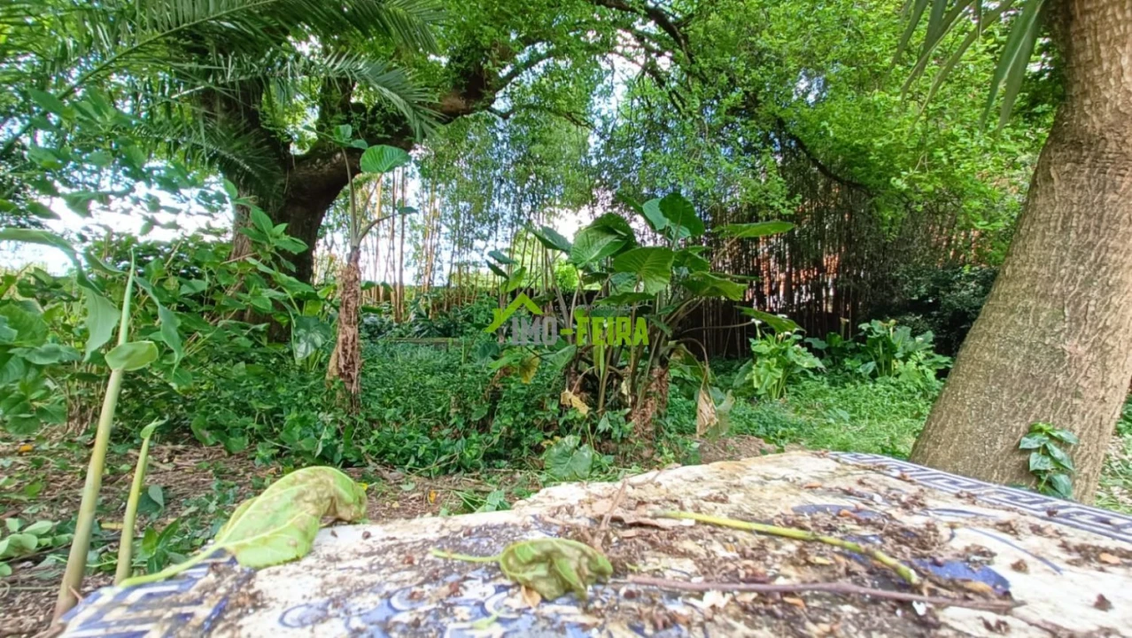 Quinta T6 para Venda em São João da Madeira Foto 48