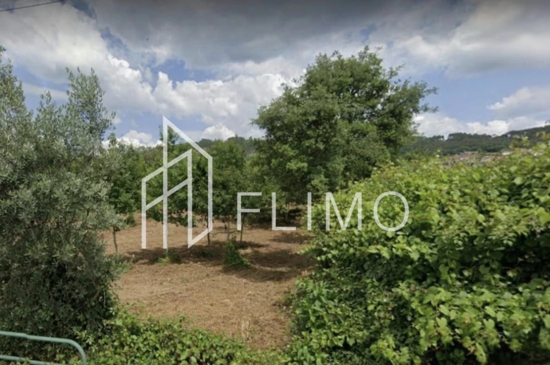 Quinta T6 para Venda em Branca Foto 38