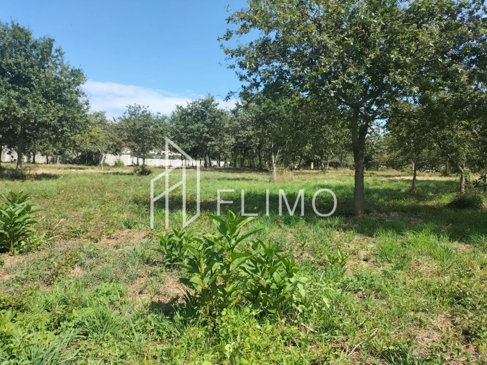 Quinta T6 para Venda em Branca Foto 22