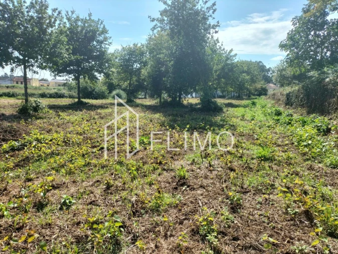 Quinta T6 para Venda em Branca Foto 19