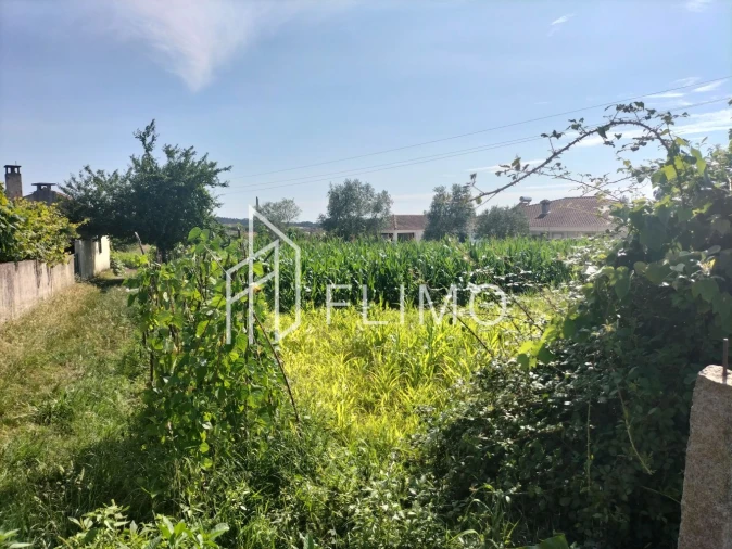 Quinta T6 para Venda em Branca Foto 16