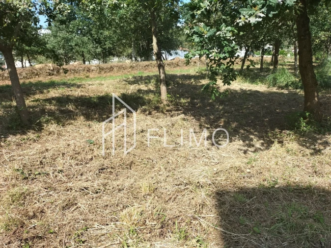 Quinta T6 para Venda em Branca Foto 21