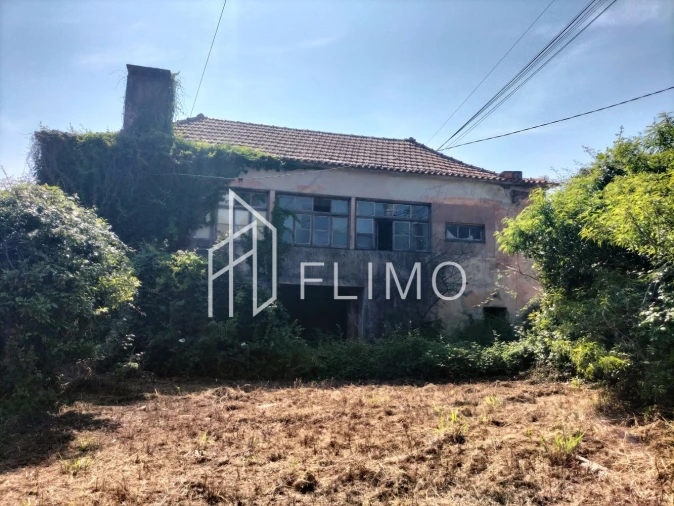 Quinta T6 para Venda em Branca Foto 13