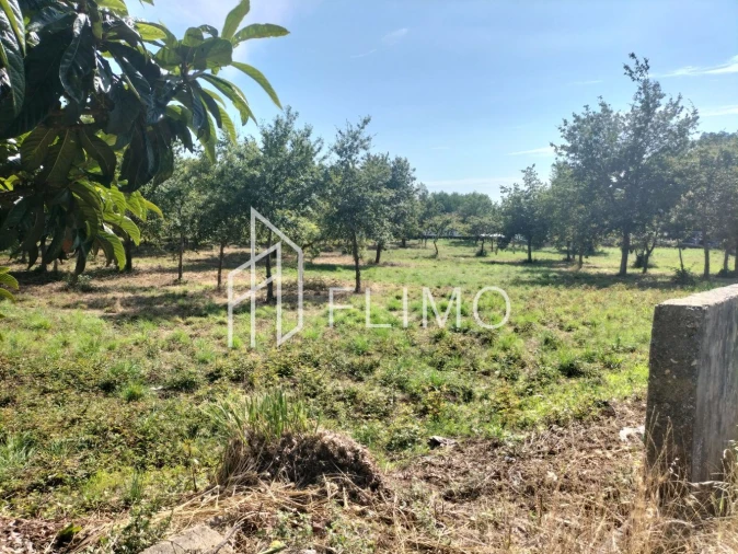 Quinta T6 para Venda em Branca Foto 15