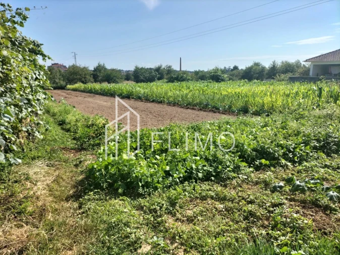 Quinta T6 para Venda em Branca Foto 17