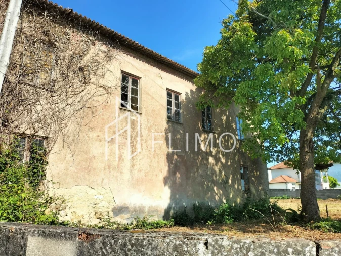 Quinta T6 para Venda em Branca Foto 29