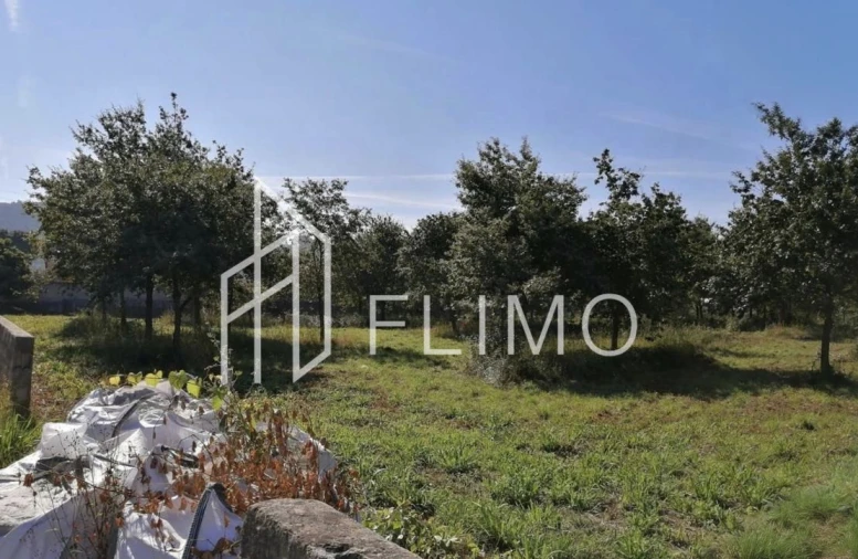 Quinta T6 para Venda em Branca Foto 37