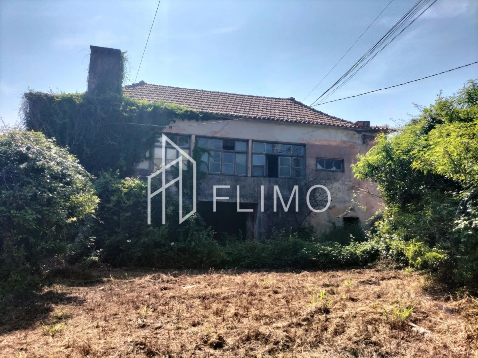 Quinta T6 para Venda em Branca Foto 13