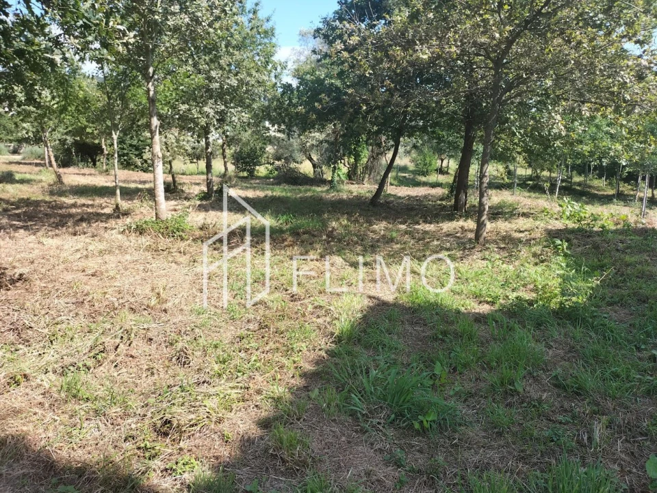 Quinta T6 para Venda em Branca Foto 20