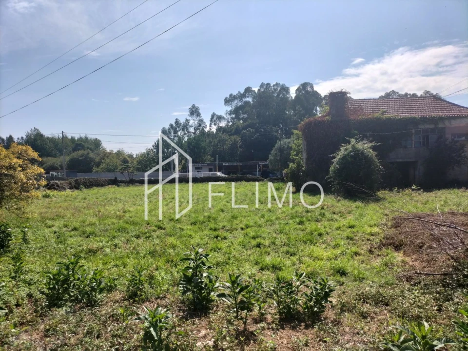 Quinta T6 para Venda em Branca Foto 5