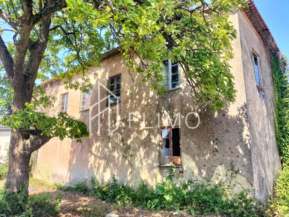 Quinta T6 para Venda em Branca Foto 33