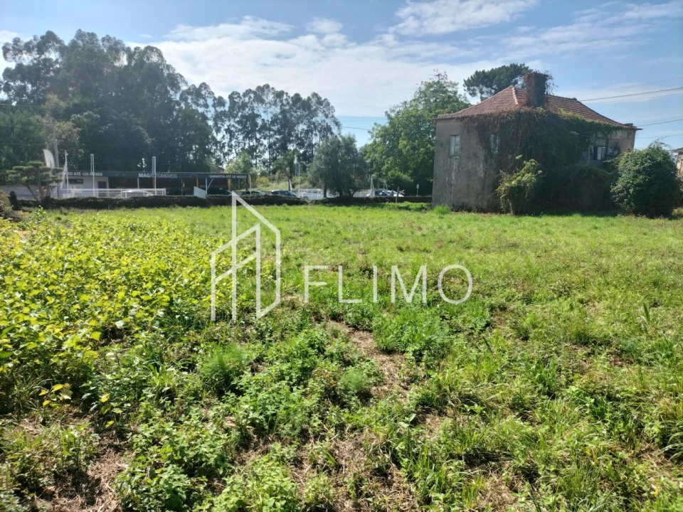 Quinta T6 para Venda em Branca Foto 10