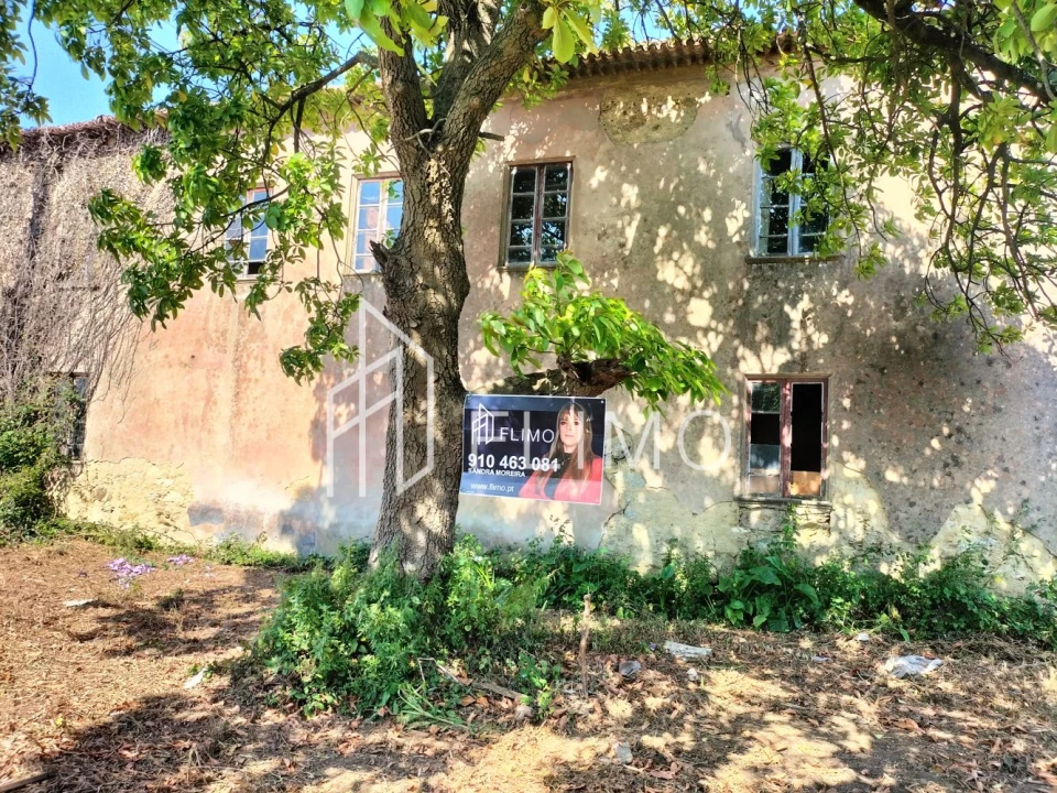 Quinta T6 para Venda em Branca Foto 9