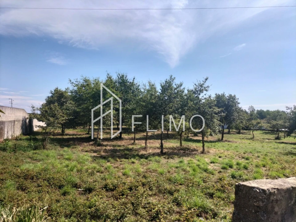 Quinta T6 para Venda em Branca Foto 14