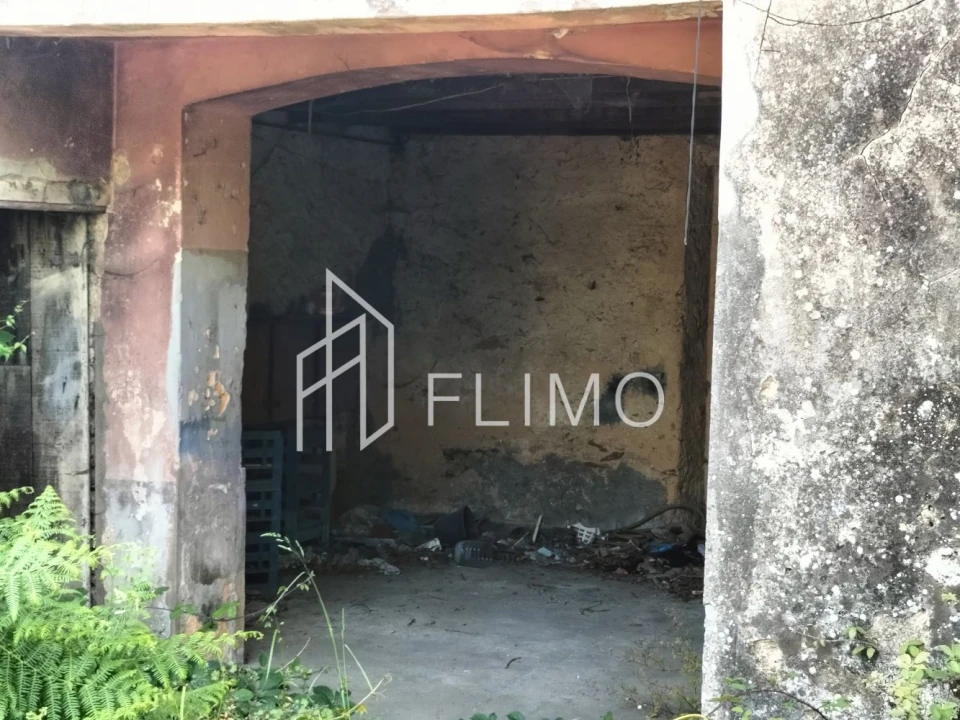 Quinta T6 para Venda em Branca Foto 30