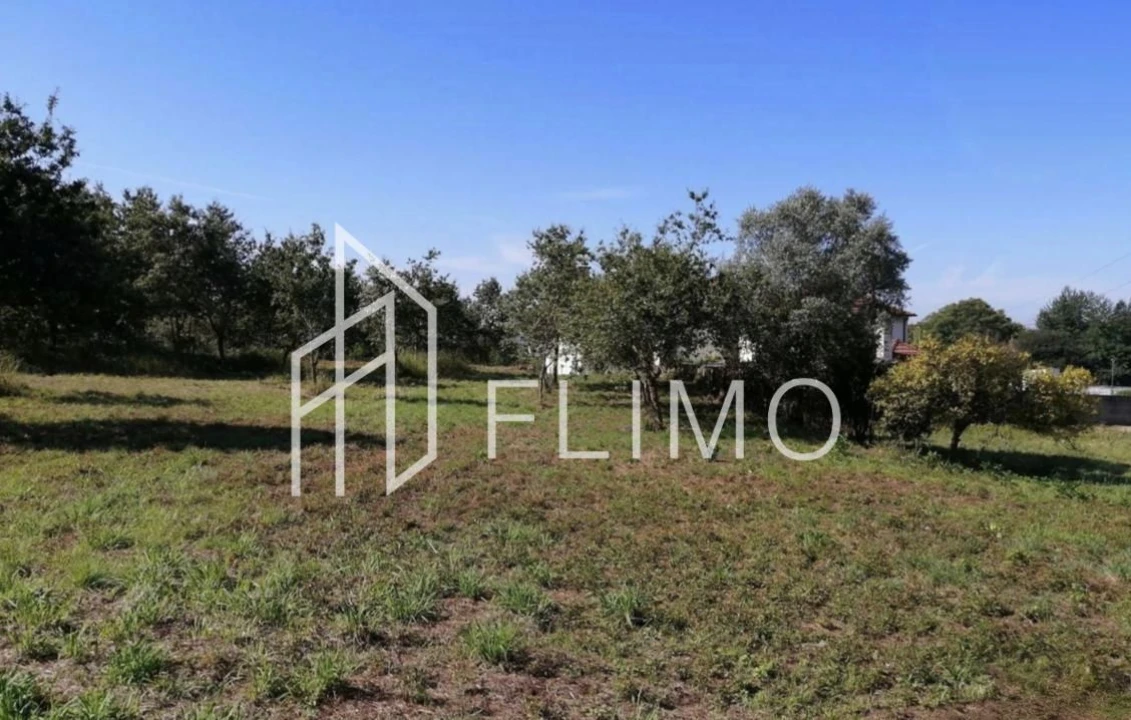 Quinta T6 para Venda em Branca Foto 39