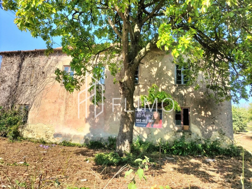 Quinta T6 para Venda em Branca Foto 8