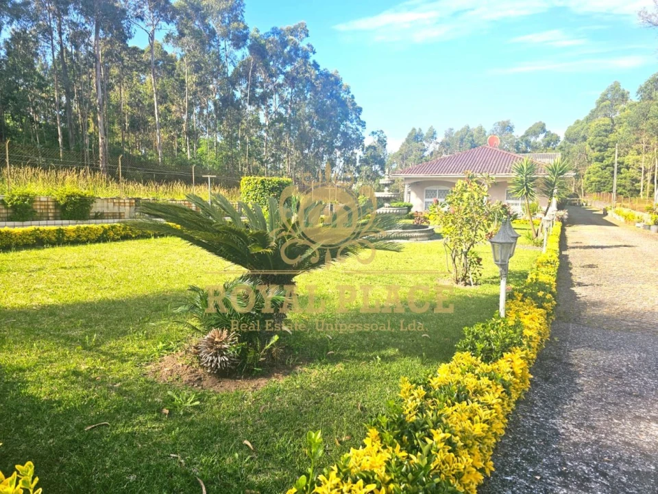 Moradia T3 para Venda em Fiães Foto 28