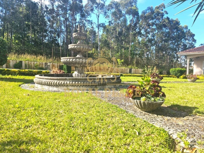 Moradia T3 para Venda em Fiães Foto 29