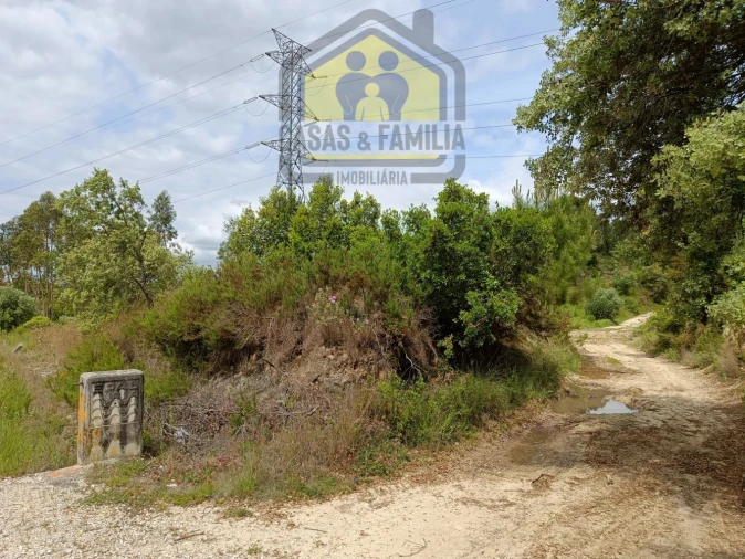 Terreno para Venda em Olaia e Paço Foto 3