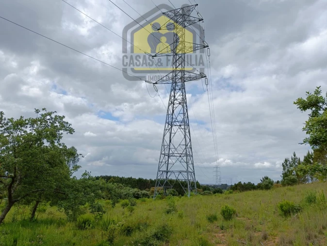 Terreno para Venda em Olaia e Paço Foto 4