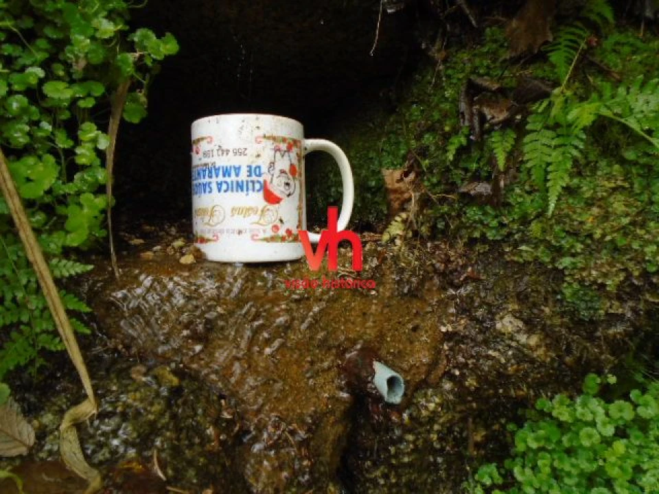 Quinta T2 para Venda em Amarante (São Gonçalo), Madalena, Cepelos e Gatão Foto 17