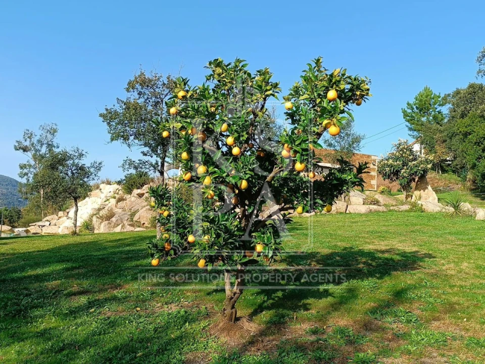 Moradia T3 para Venda em Mondim de Basto Foto 14