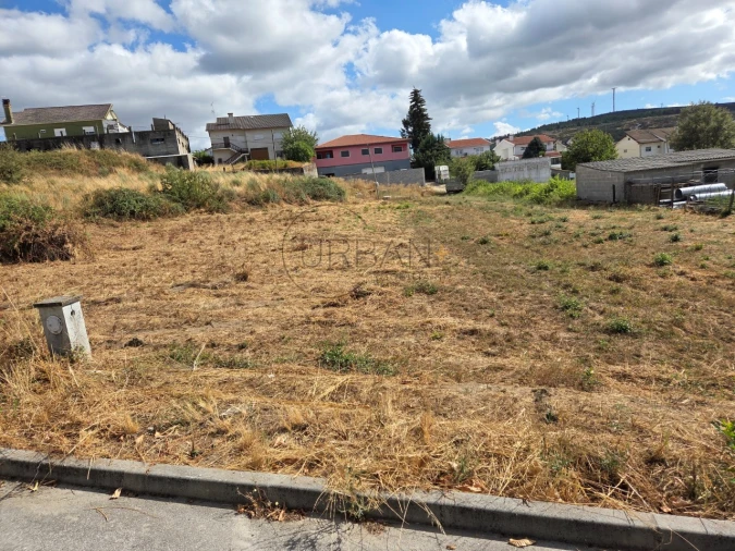 Terreno para Venda em Moimenta da Beira Foto 7