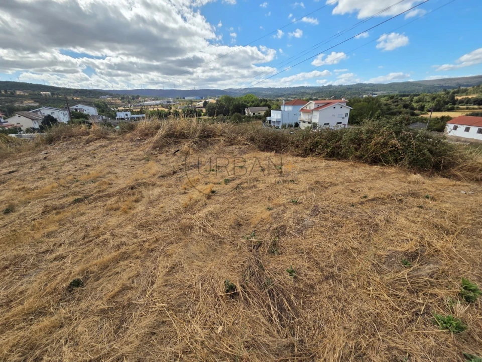 Terreno para Venda em Moimenta da Beira Foto 1