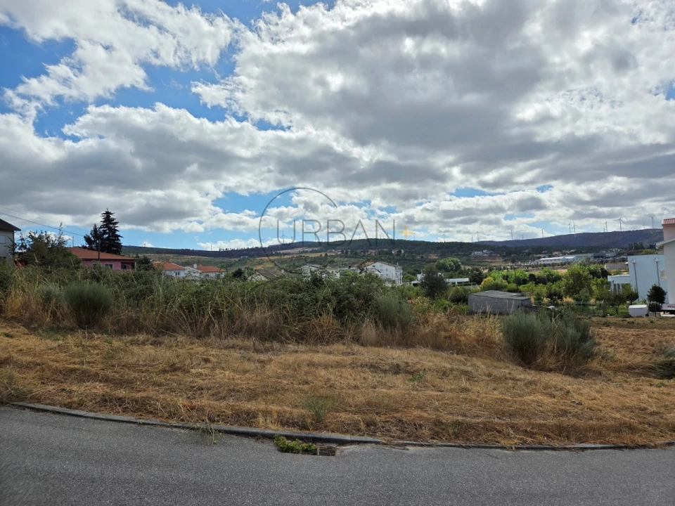 Terreno para Venda em Moimenta da Beira Foto 5