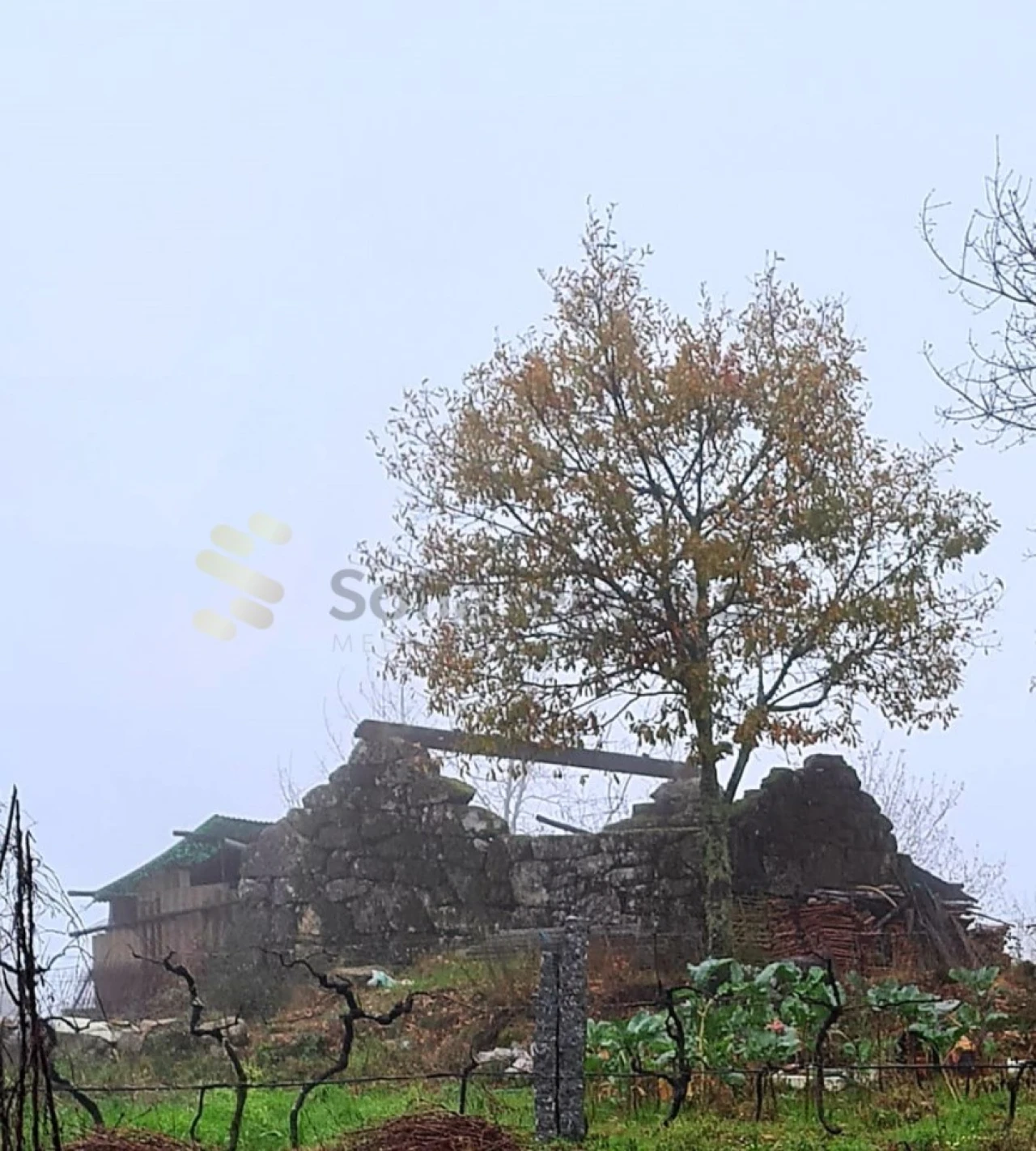 Terreno para Venda em Paredes de Viadores e Manhuncelos Foto 4