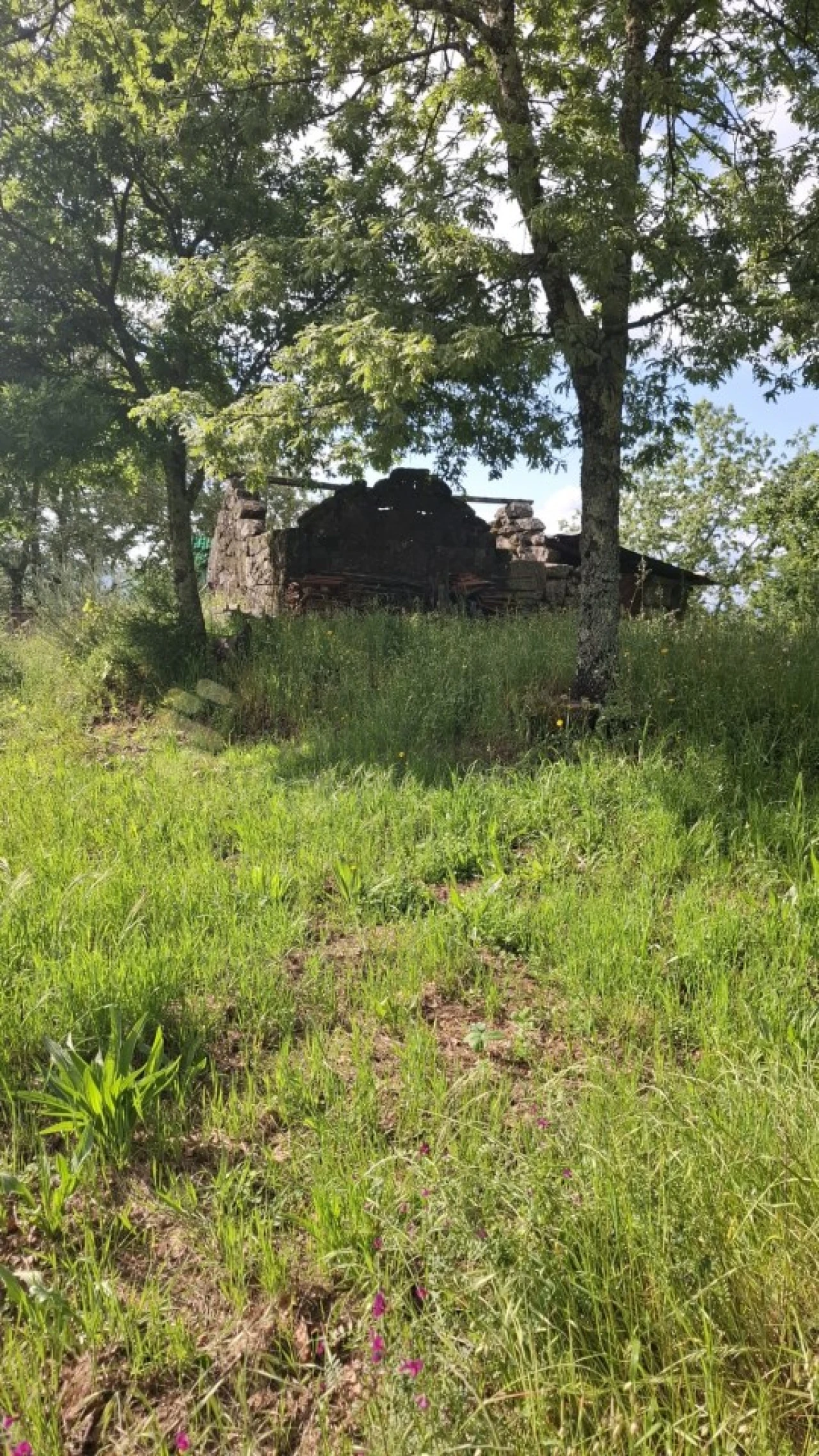 Terreno para Venda em Paredes de Viadores e Manhuncelos Foto 6