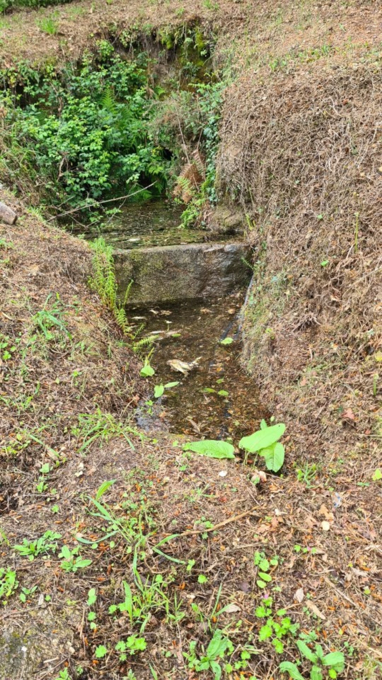 Terreno para Venda em Paredes de Viadores e Manhuncelos Foto 8