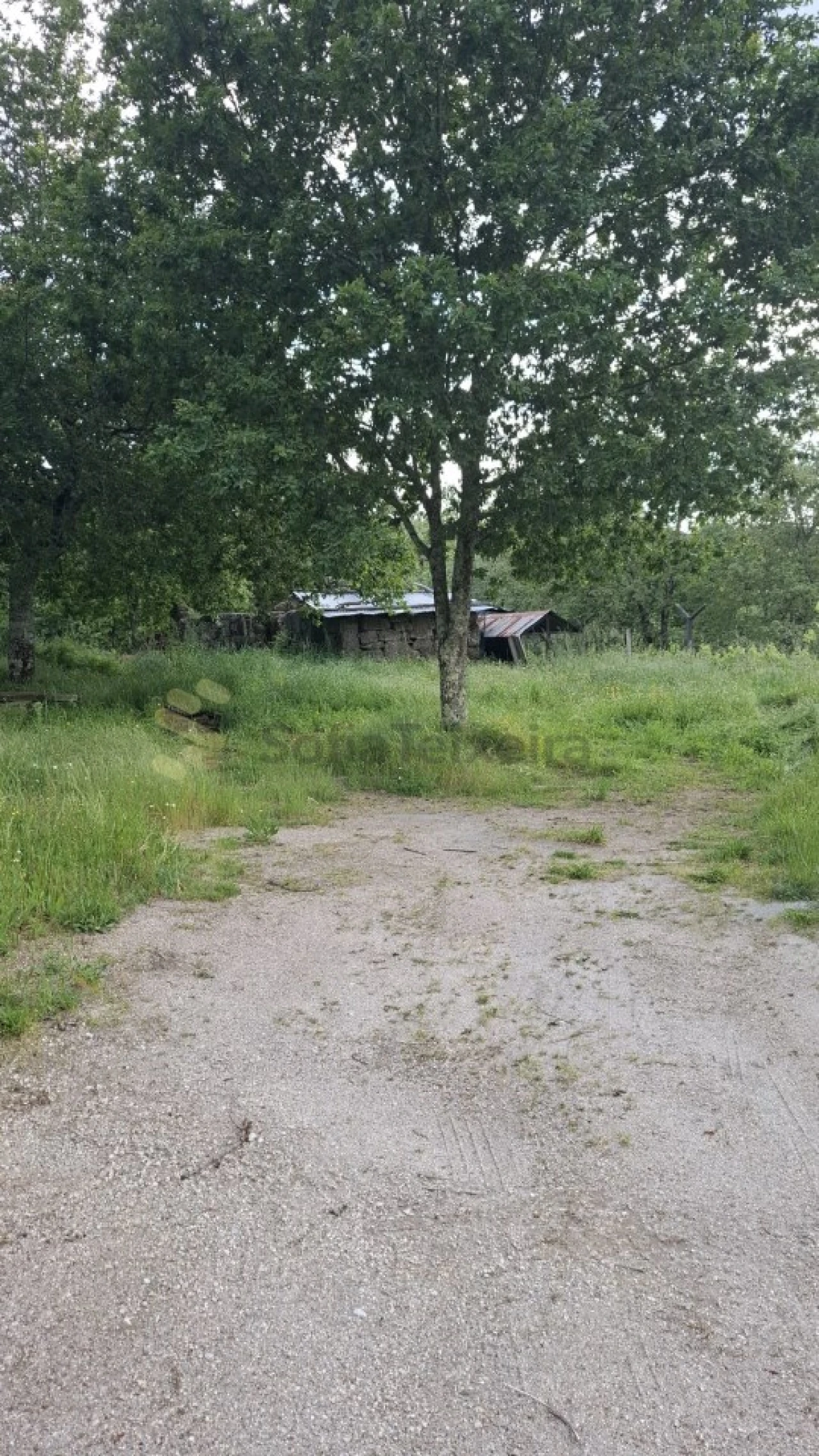 Terreno para Venda em Paredes de Viadores e Manhuncelos Foto 15