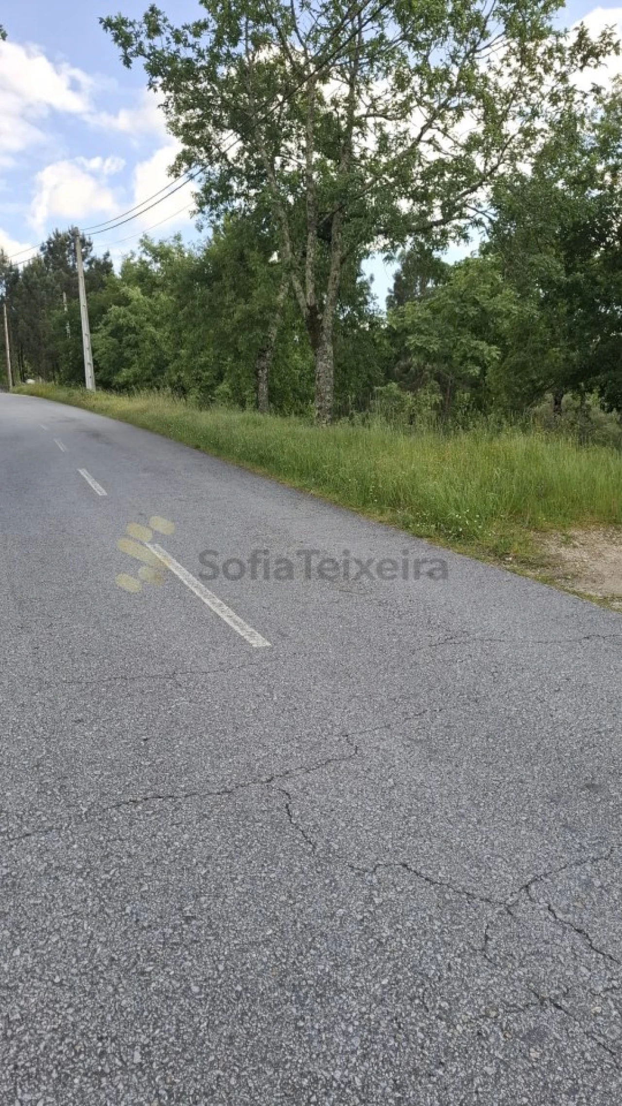 Terreno para Venda em Paredes de Viadores e Manhuncelos Foto 17