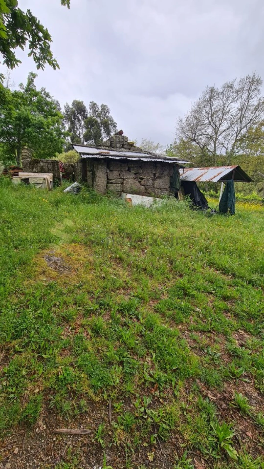 Terreno para Venda em Paredes de Viadores e Manhuncelos Foto 5