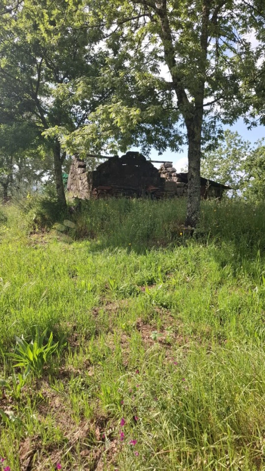 Terreno para Venda em Paredes de Viadores e Manhuncelos Foto 6