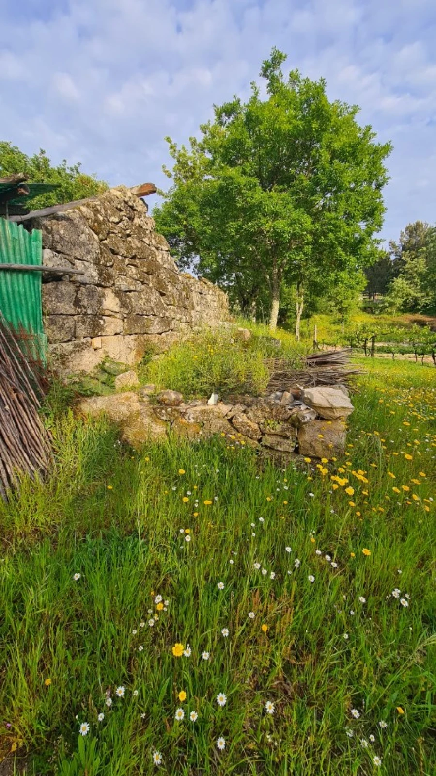 Terreno para Venda em Paredes de Viadores e Manhuncelos Foto 9