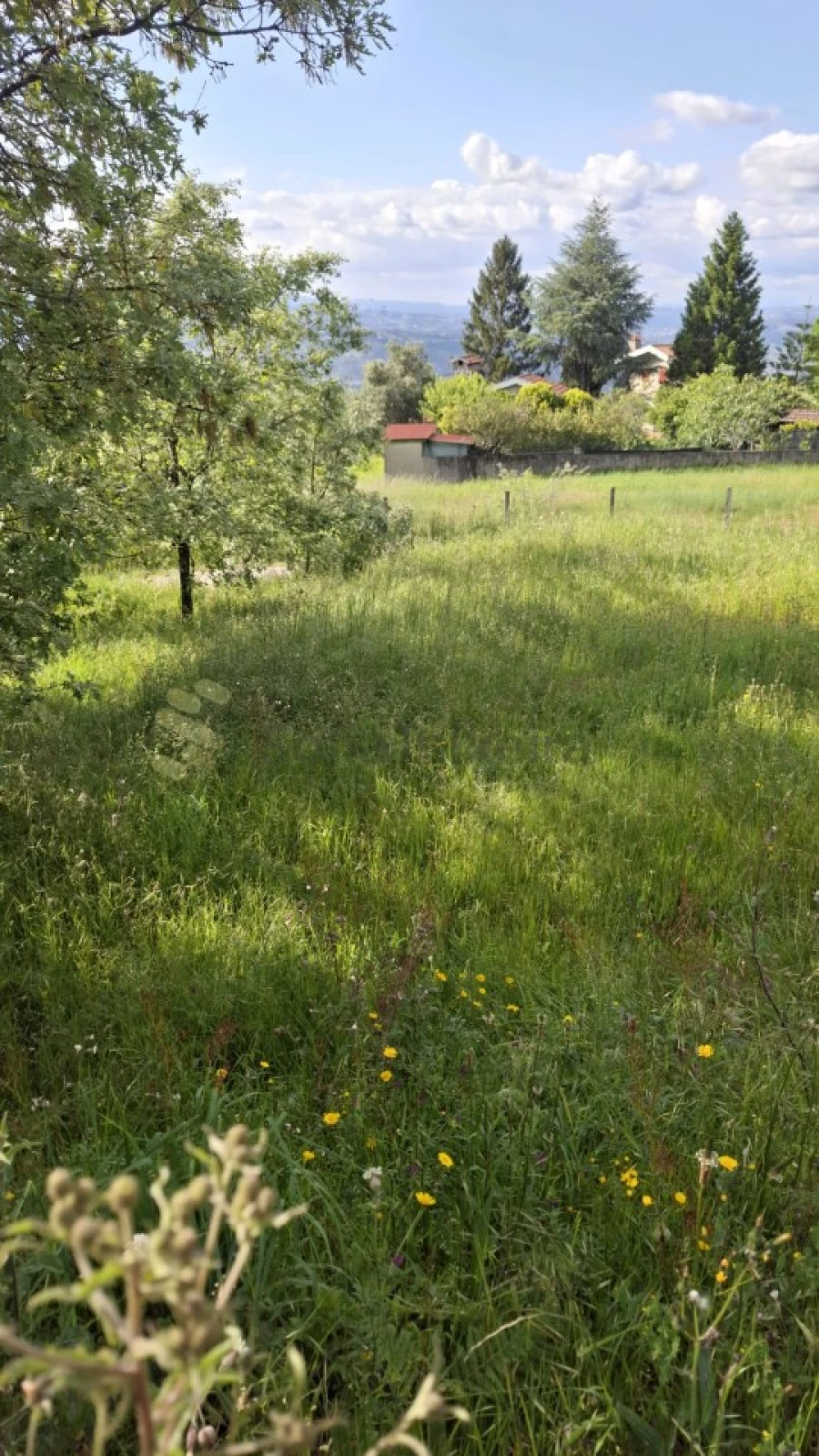 Terreno para Venda em Paredes de Viadores e Manhuncelos Foto 12