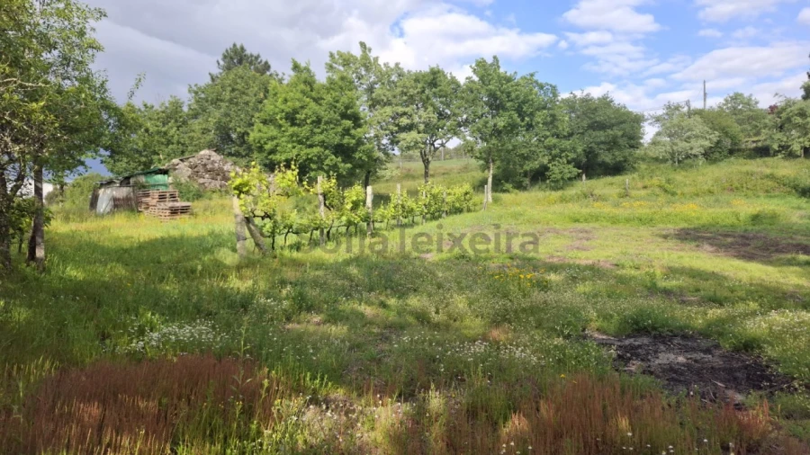 Terreno para Venda em Paredes de Viadores e Manhuncelos