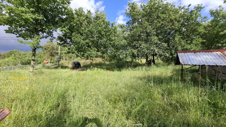 Terreno para Venda em Paredes de Viadores e Manhuncelos Foto 2