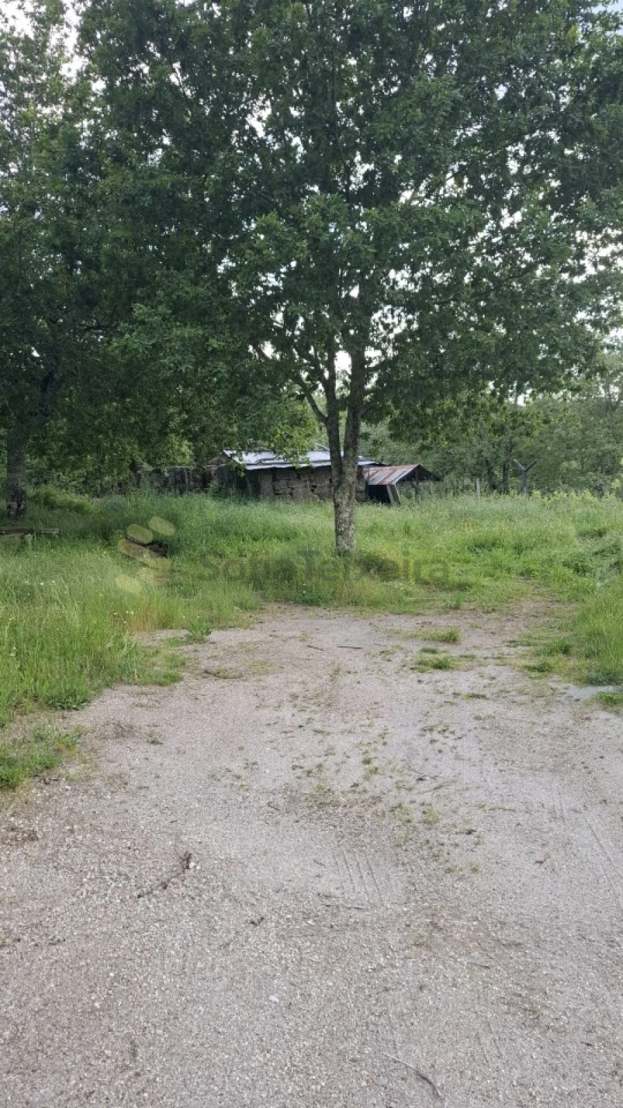 Terreno para Venda em Paredes de Viadores e Manhuncelos Foto 15