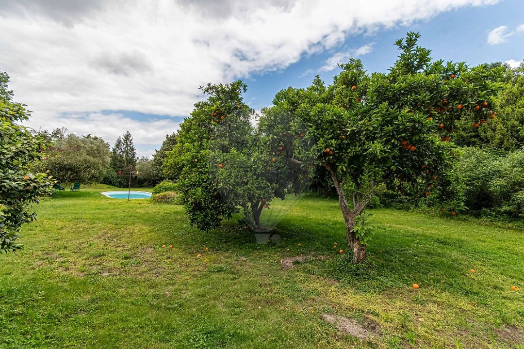 Quinta T2 para Venda em Palmela Foto 21