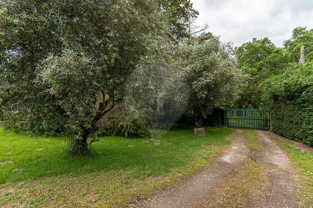 Quinta T2 para Venda em Palmela Foto 24